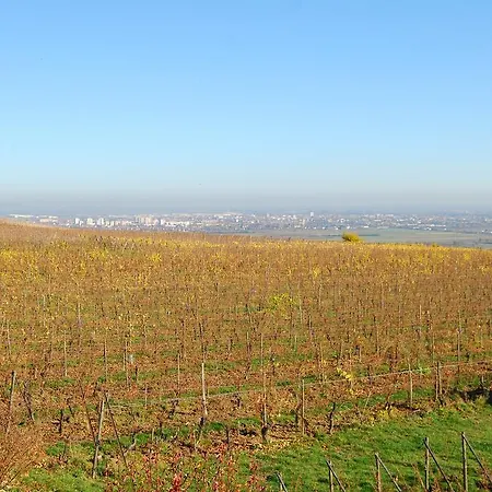 Frühstückspension D'hôtes Gilles Schneider 3*