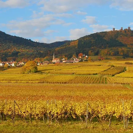 D'hôtes Gilles Schneider Frühstückspension Husseren-les-Châteaux