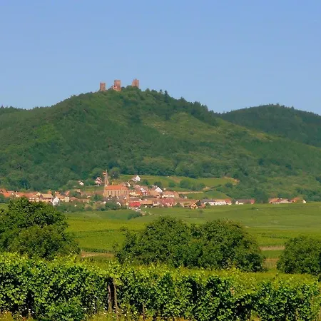 D'hôtes Gilles Schneider Frühstückspension