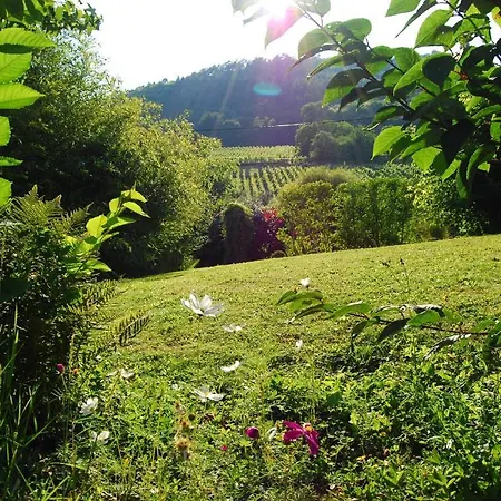 D'hôtes Gilles Schneider